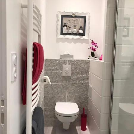 Apartment La Renaissance Au Coeur Du Centre Historique Beaune (Cote d'Or)