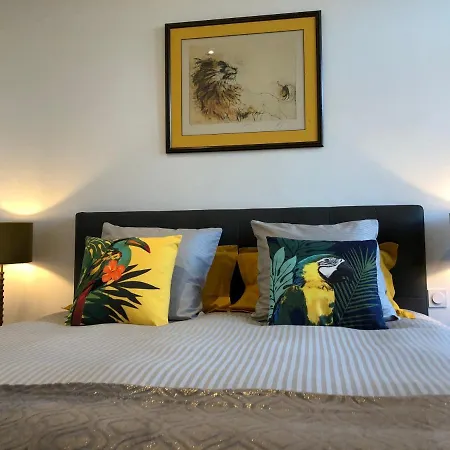 La Renaissance Au Coeur Du Centre Historique Apartment *